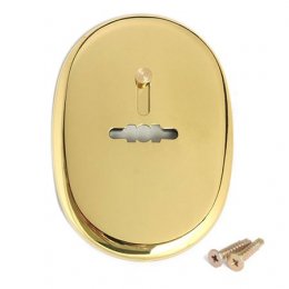 Накладка декоративная Apecs DP-S-10-G-shutter
